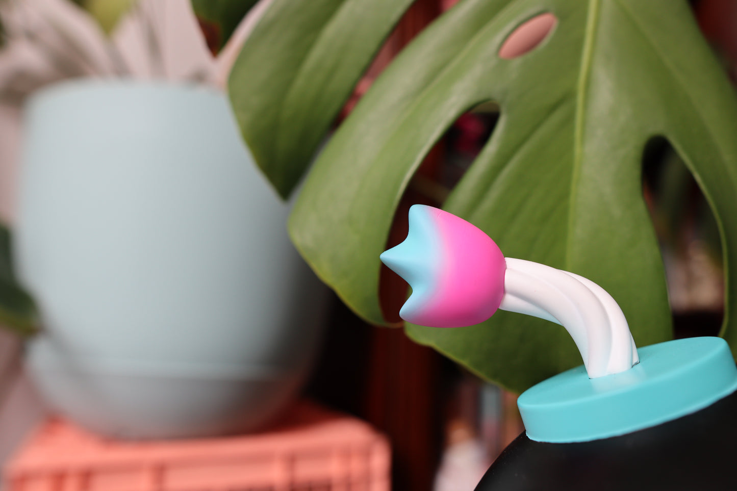 Kid-Boom New Girl Colorway